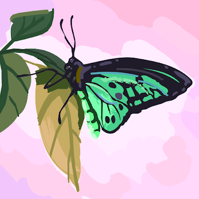 cose_edx brief_capture