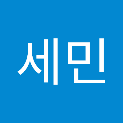 손세민