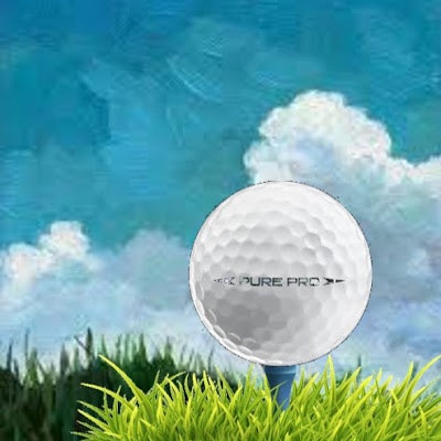 깨백에서 싱글까지Find My Golf Swing