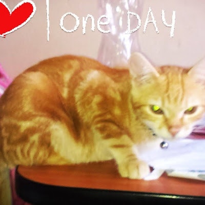 Pavel “PaUl” Ulrych