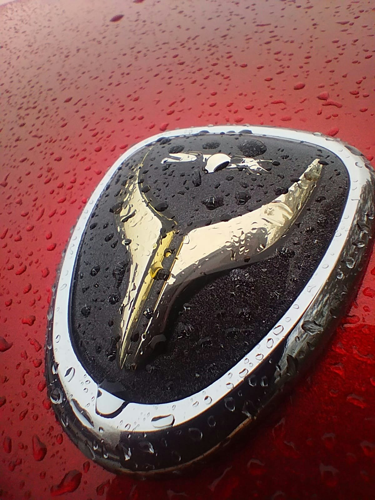 NiGHTSHiFT Photographer