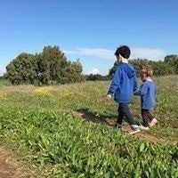 ברוריה בירן