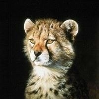 Rachel Martin-Austin