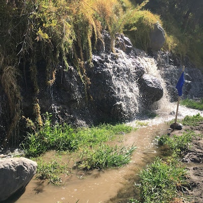 Luis Enrique Valderrama Luque