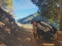 Melissa Carroll Kinney