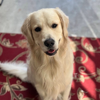 Aaroosh Balakrishnan