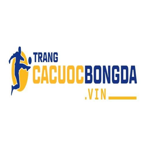 Top trang cá cược bóng đá, cá độ