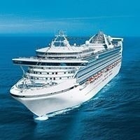 Flying Venus Travels Pvt. Ltd.