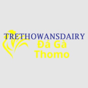 Đá Gà Trực Tiếp Thomo