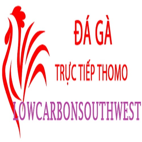 Đá Gà Trực Tiếp Thomo