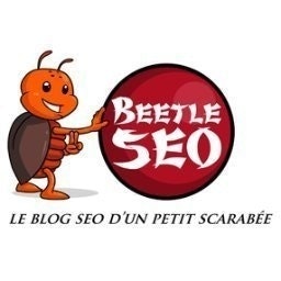 ㊙️BEETLE🖌️SEO