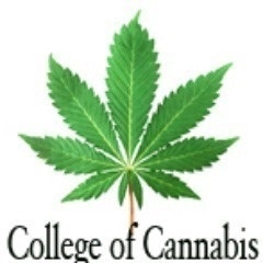 College of Cannabis