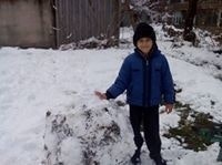 Борислав Николов