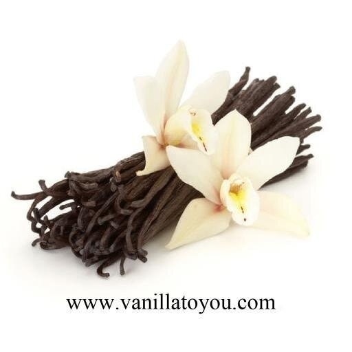 Vanilla To You