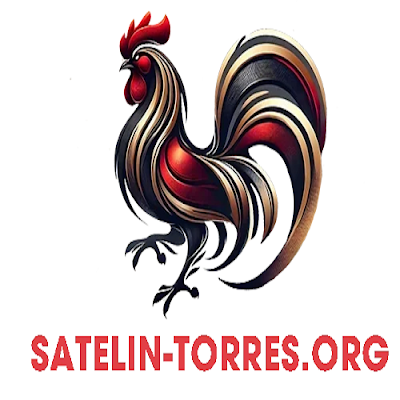 TRỰC TIẾP ĐÁ GÀ THOMO