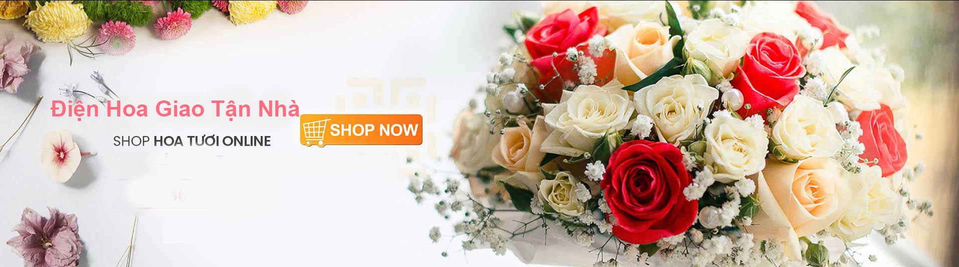 Shop Hoa Tươi Quảng Ninhv