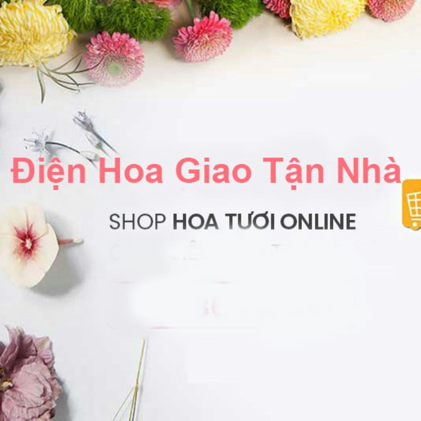 Shop Hoa Tươi HP