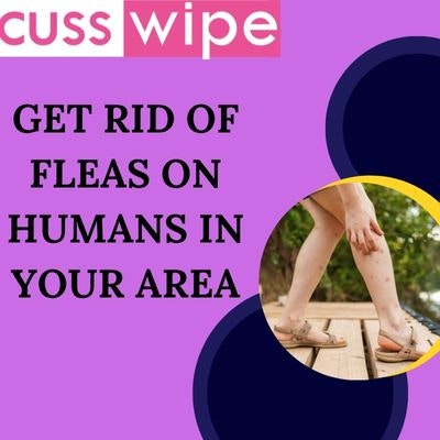 How To Get Rid Of Fleas On Humans Skin