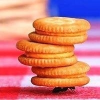 Arvind Babu Chandrasekaran