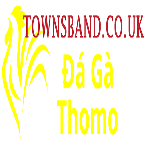 Đá Gà Trực Tiếp Thomo