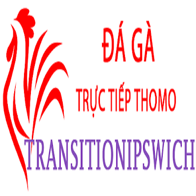 Đá Gà Trực Tiếp Thomo