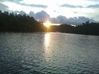 হাবীব হাসান