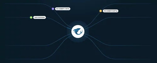 LeadShark