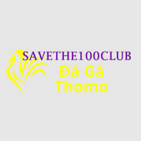 Đá Gà Trực Tiếp Thomo