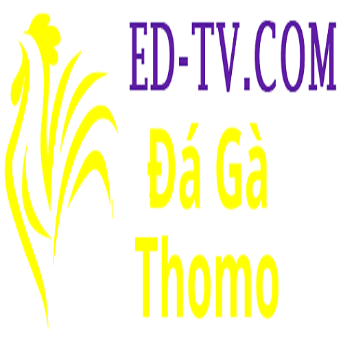 Đá Gà Trực Tiếp Thomo