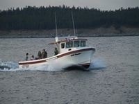 David Chandra Nickerson