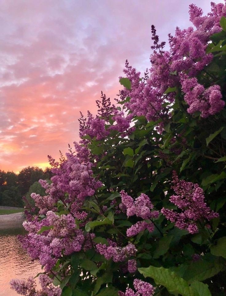 Tolgonai Rahmanberdi