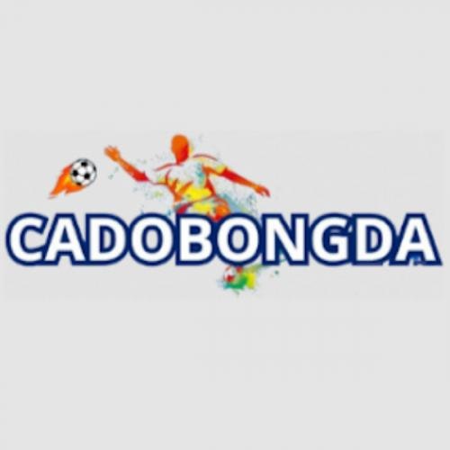 Trang Cá Độ Bóng Đá Trực Tiếp