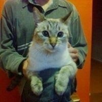 Андрей Блинов