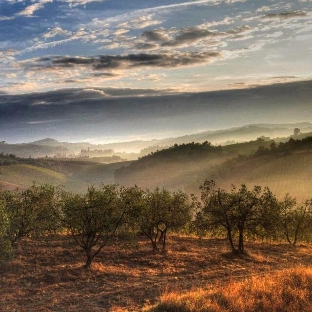 Алексей Алексенко