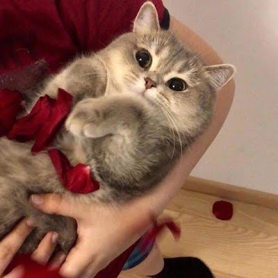 Юлия Бедняк