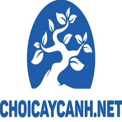 Chơi Cây Cảnh