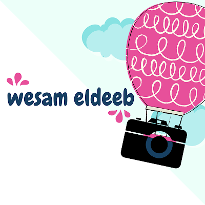 Wesam Eldeeb