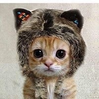 Сергей Труфанов