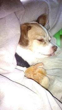 RobertNancy Stang-Haney