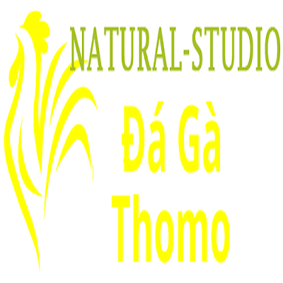Đá Gà Trực Tiếp Thomo