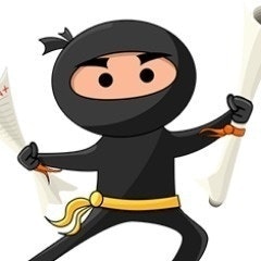 Ninjaessays