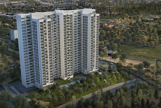 Prestige Forest edge