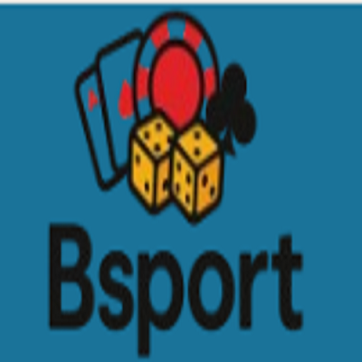bsport cam