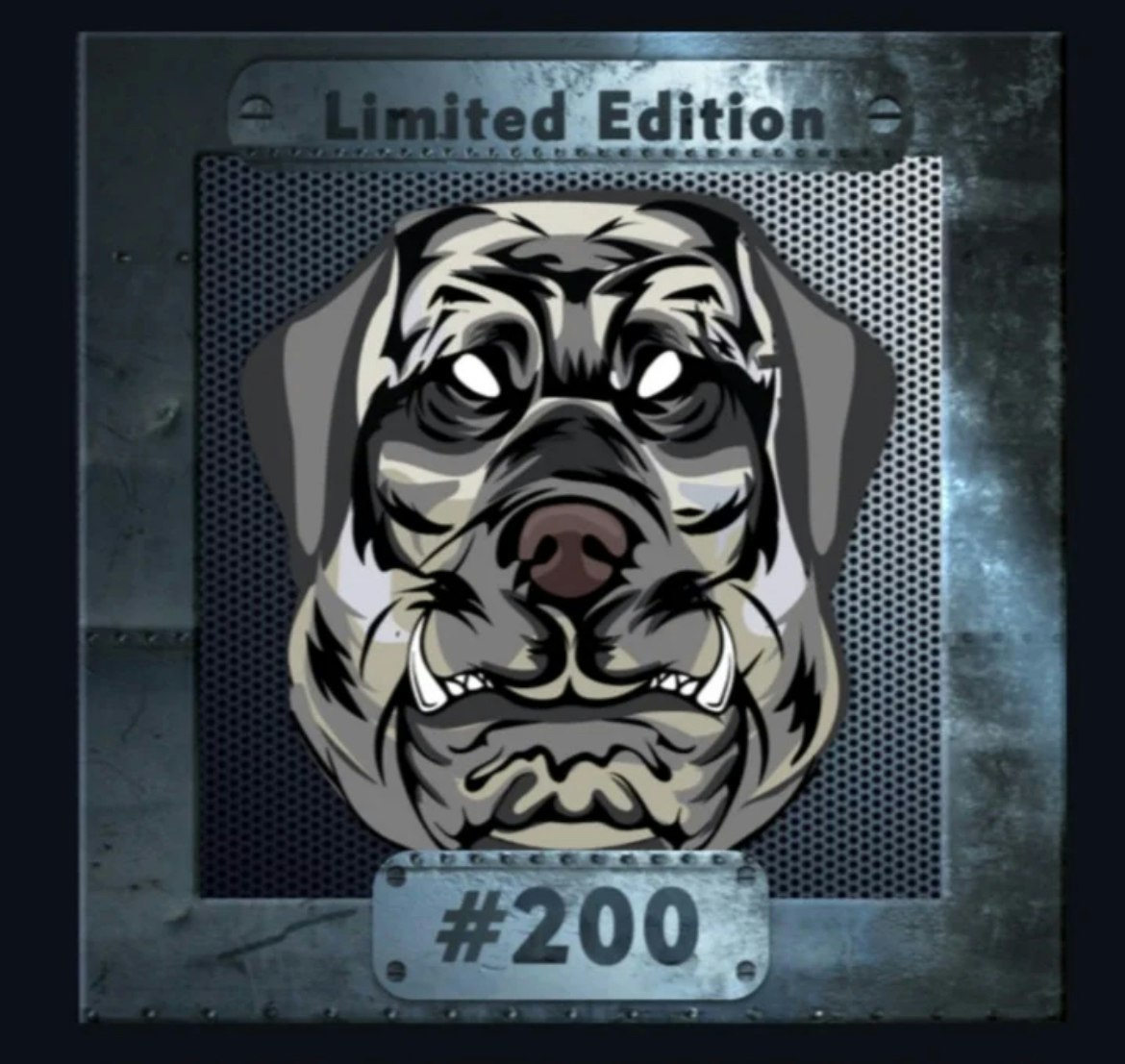 Adem Kaya | Cmle #200