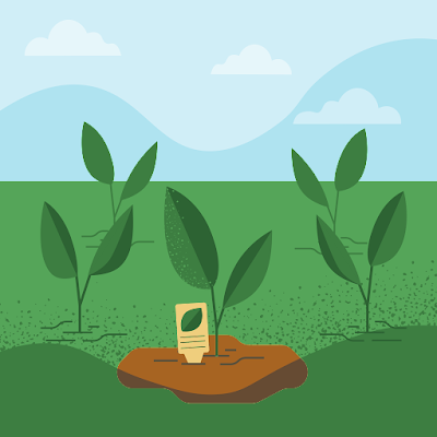 Kristine Callis-Duehl