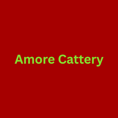 Amore Cattery