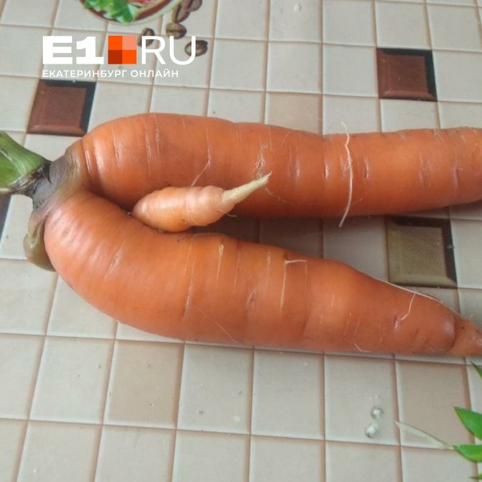 Илья Юриевич