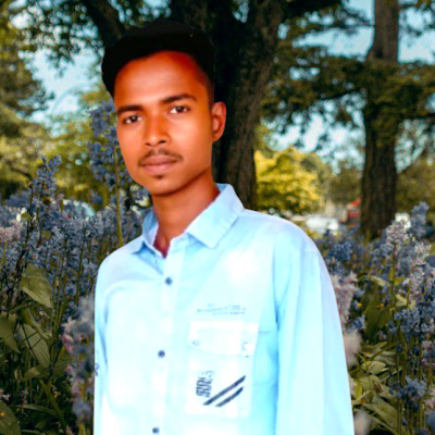 Md Ismail Hossain