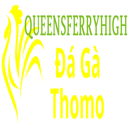 Đá Gà Trực Tiếp Thomo