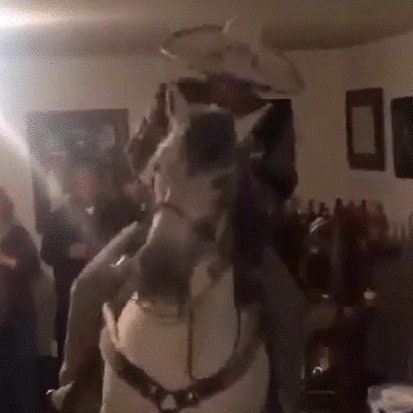 YourUpstairsNeighbor